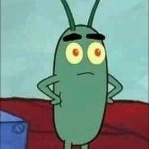 Meet your Posher, Mia